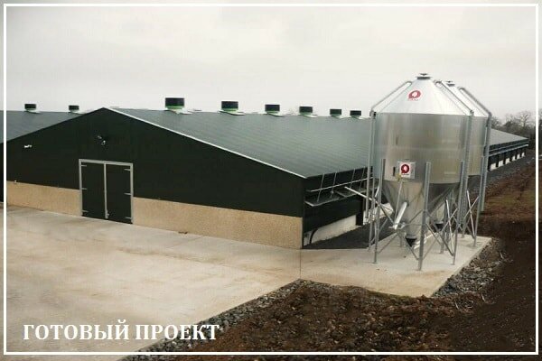 Этапы возведения птицефабрики от завода ВелесТент-шмр